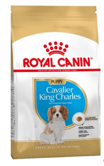 Royal Canin Cavalier King Charles Yavru 5 kg Köpek Maması kullananlar yorumlar